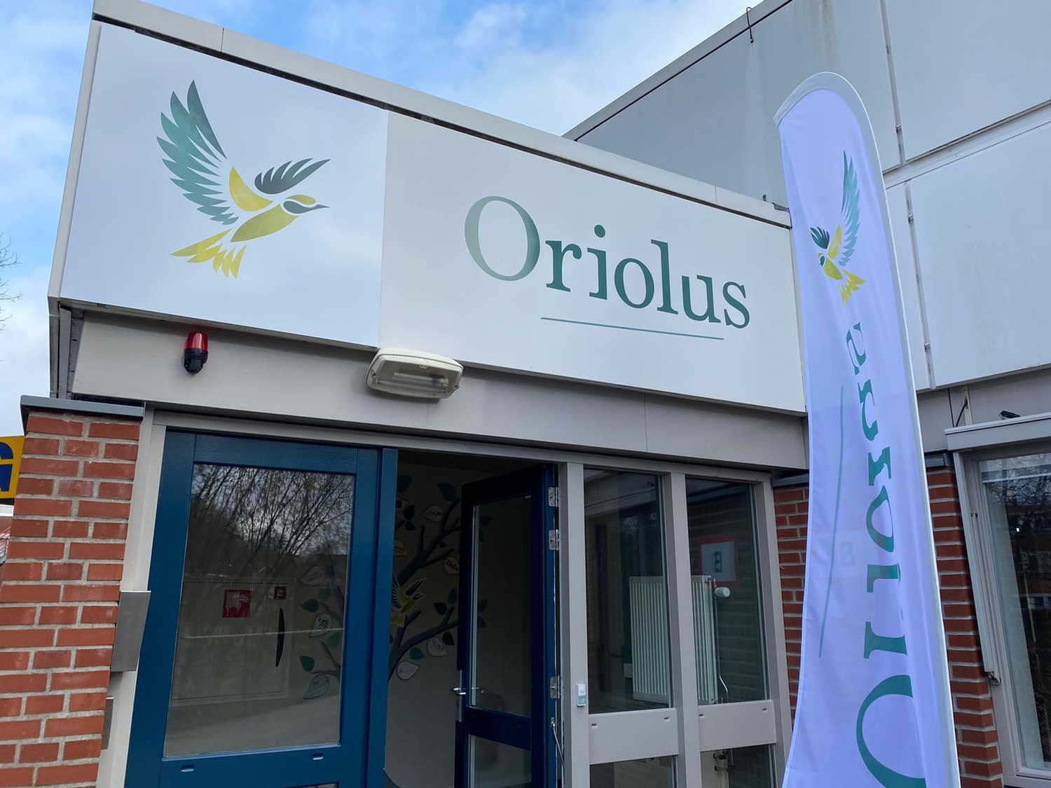 Oriolus3